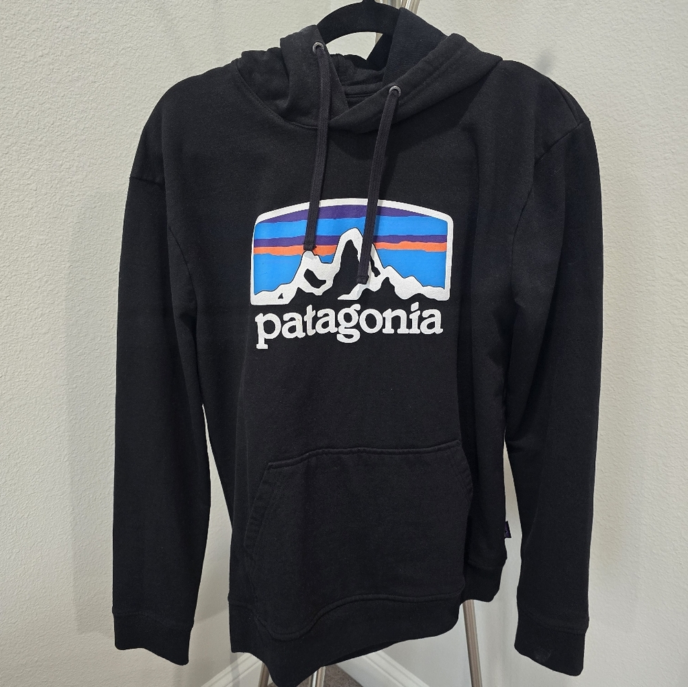 Patagonia Hoodie